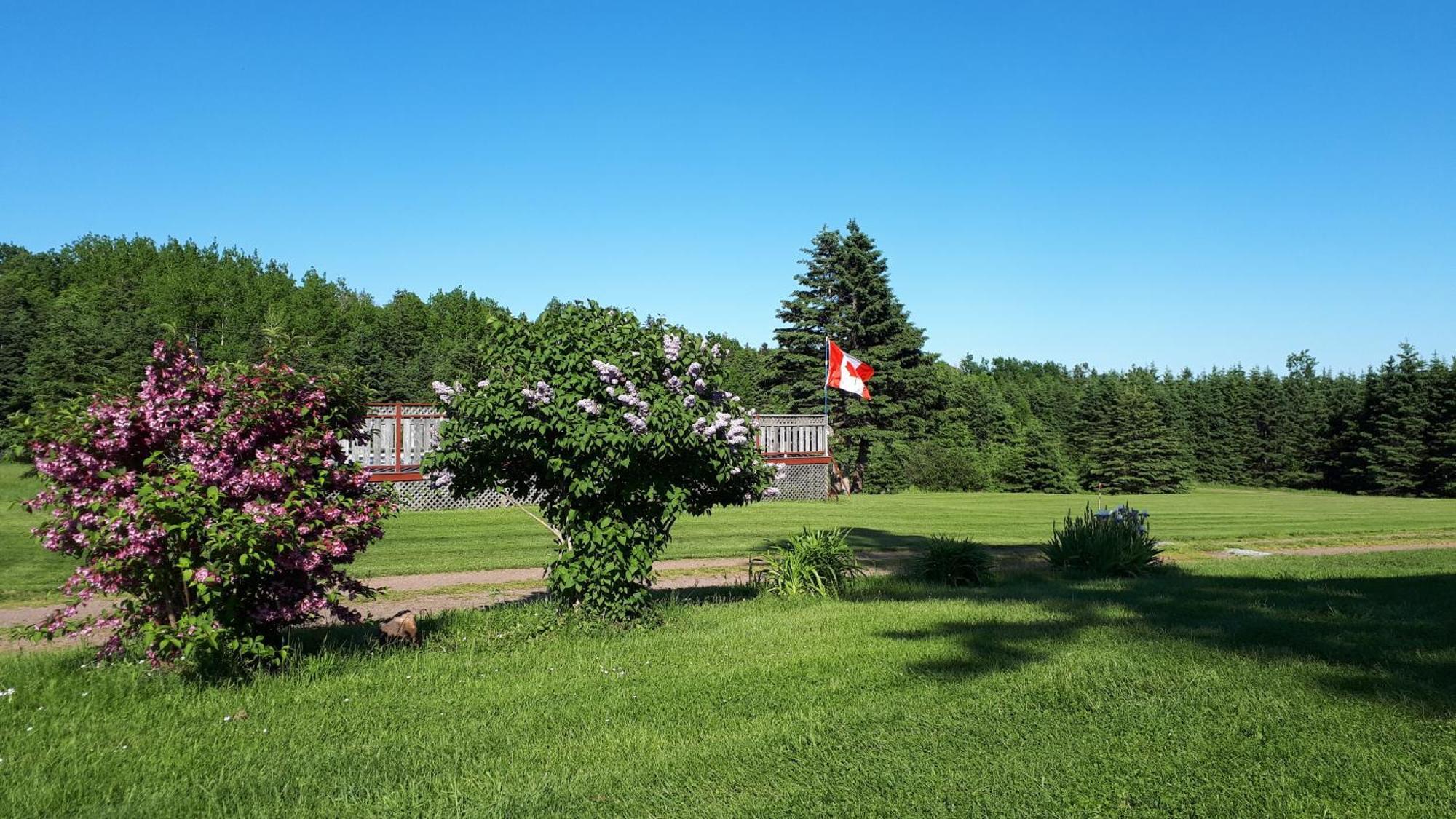 Rustico Acres Cottages North Rustico Exteriör bild